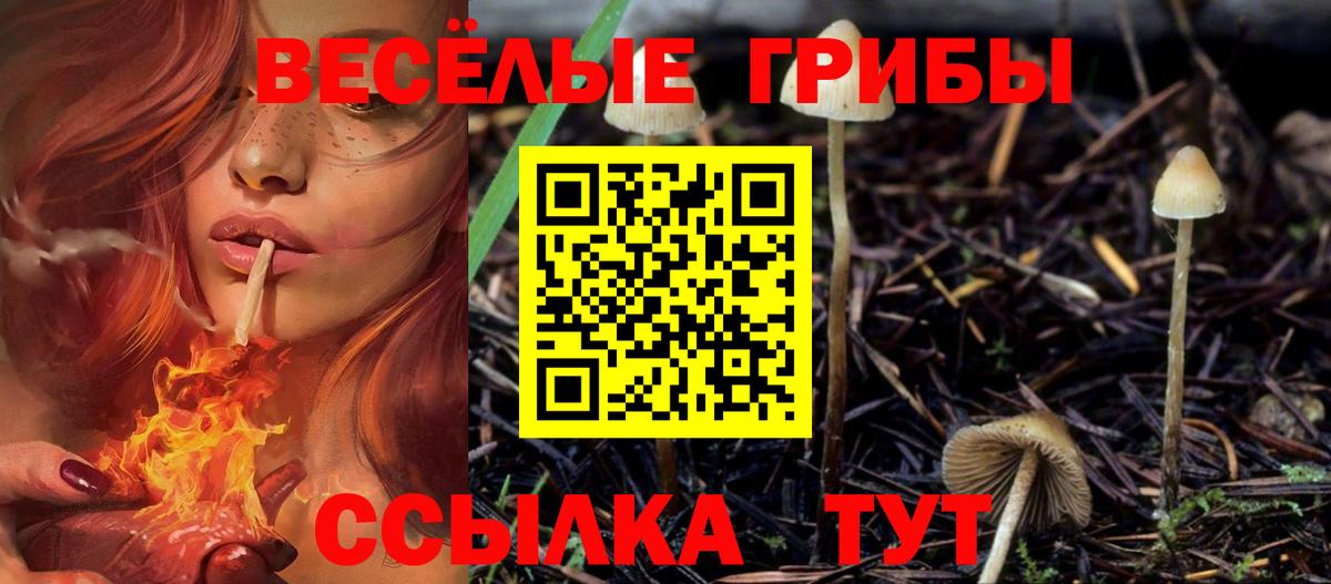 Галлюциногенные грибы Cubensis Ялта