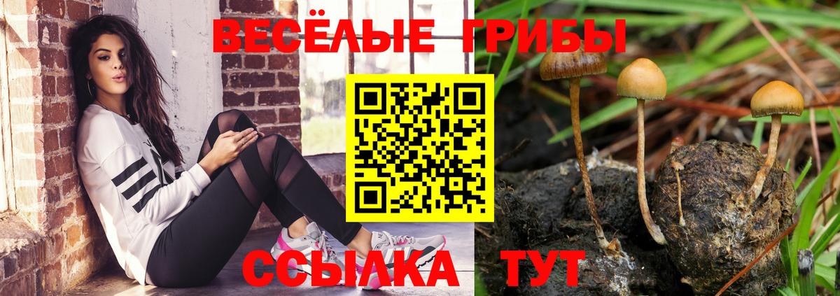 Ялта  Галлюциногенные грибы Psilocybe  Вход с VPN 